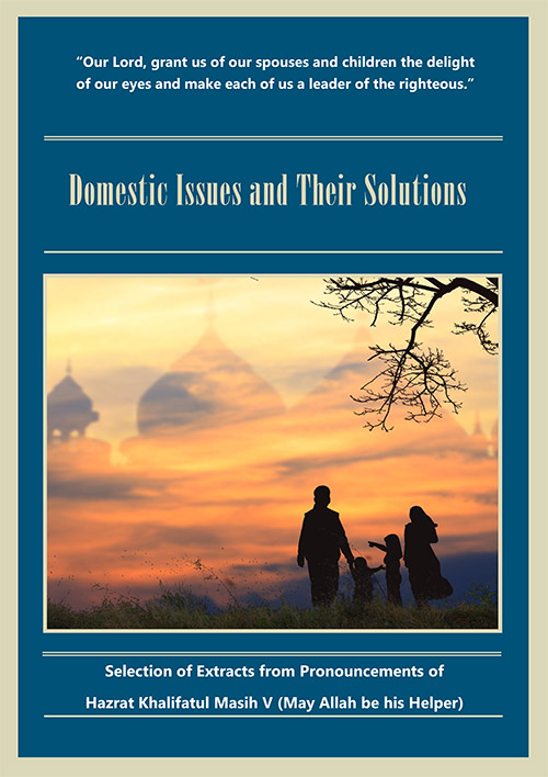 domestic-issues-and-their-solutions